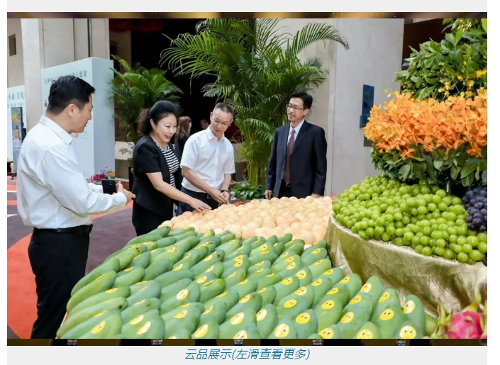 微信截图_20240510143227.png