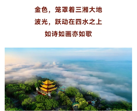 微信截图_20241022101405.png