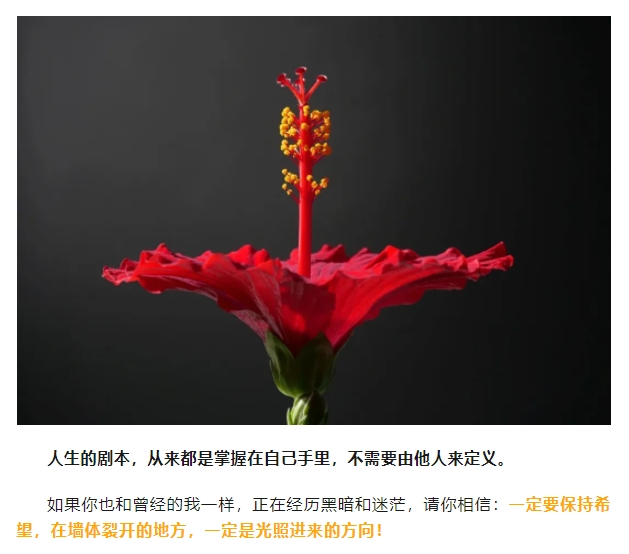 微信截图_20241224174718.png