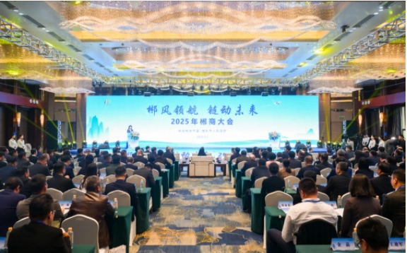 微信截图_20250409155148.png