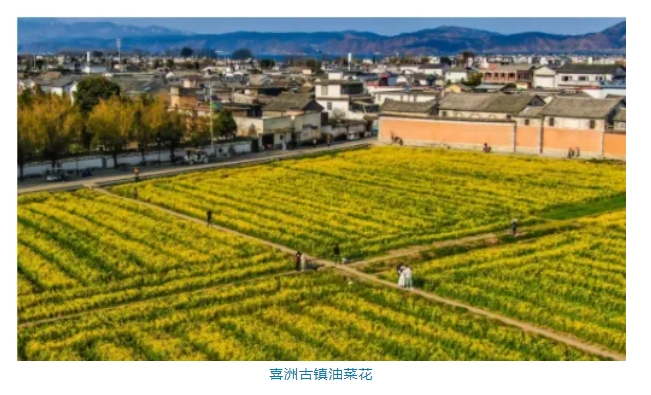 微信截图_20250513144957.png